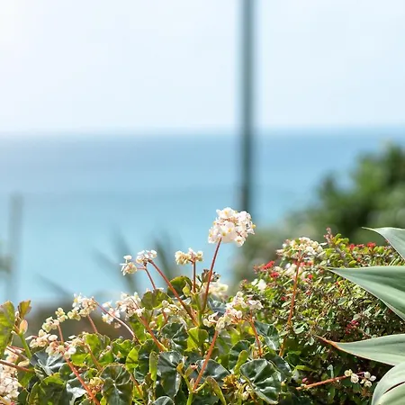By The Atlantic 3-bedroom 公寓 丰沙尔