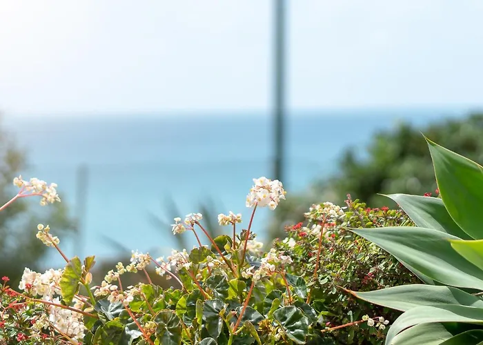 By The Atlantic 3-bedroom アパート フンシャル